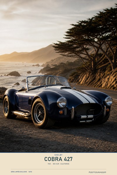 Affiche SHELBY COBRA 427 1965