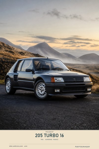 Affiche PEUGEOT 205 TURBO 16 1984